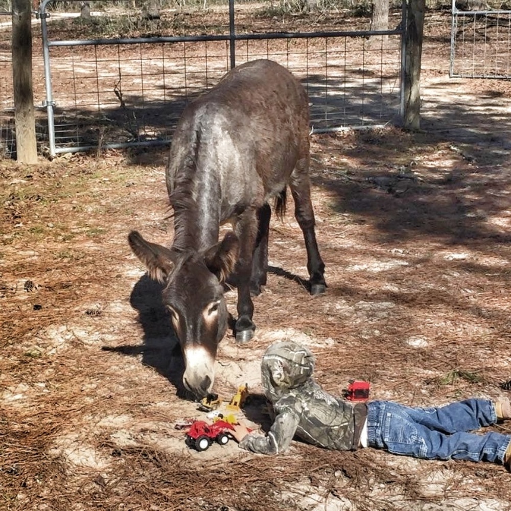 Meet your Posher, Jana